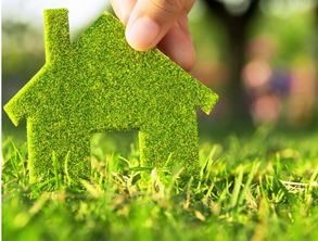 选材是绿色环保家庭装修的关键